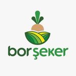 Bor Şeker’den 250 Milyonluk Savunma: Geri Alım Hedefi 4 Katına Çıktı