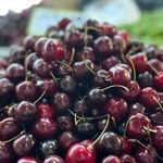 Yaş Meyve İhracatı 7 Ayda 1 Milyar Doları Aştı