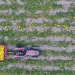Tarım ve Hayvancılık Desteklerinde Yeni Dönem: Ödemeler Artırıldı