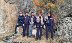Seydişehir'de Sarp Kayalıkta Mahsur Kalan Keçi Kurtarıldı