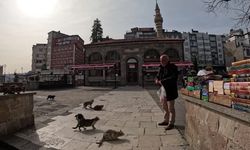 Trabzon’da Bir Esnaf 15 Yıldır Sahipsiz Kedileri Besliyor