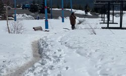 Ardahan'da Kar Soğuk Hava Nedeniyle Erimedi