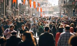 Yeni Bir İktisadi Sınıf Olarak Ev Gençleri