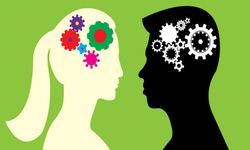 Erkek ve Kadın Beyni Farklı mıdır?