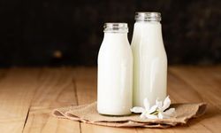 Süt, Neden Beyaz Renktedir?