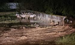 Konya Kulu'da Şiddetli Yağış Felakete Yol Açtı