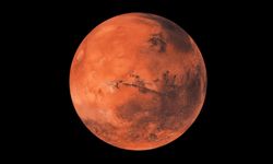 Elon Musk, 30 Yıl İçinde Mars'ta Yaşanılabileceğini Söyledi