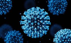 Ebola Virüsü Kasai’de Yayılıyor! Sağlık Bakanlığı Salgın Duyurusu Yaptı