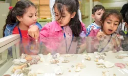 Diyarbakır'daki Zooloji Müzesi’ni 10 Bin Çocuk Ziyaret Etti