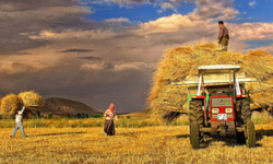 TÜDKİYEB Genel Başkanı Çelik'ten "Dünya Çiftçiler Günü" Mesajı