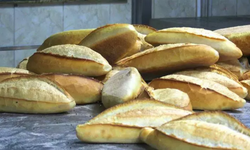 Türkiye'de Ekmek İsrafı Önleniyor