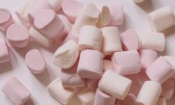 Marshmallow Deneyi Nedir?