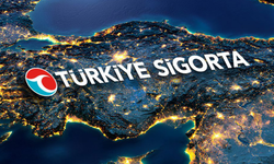 Türkiye Sigorta Web Sitesini Engelliler İçin Geliştirdi
