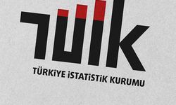Toptan Ticaret Yükseldi, Perakende Düştü