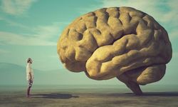 Dil Olmadan Düşünmek Mümkün müdür?