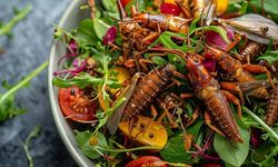 Cırcır Böcekli Salata Çok Yakında Sofralarımızda!
