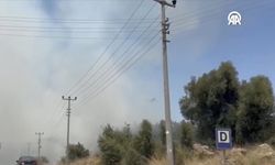 Antalya Aksu’da Orman Yangını