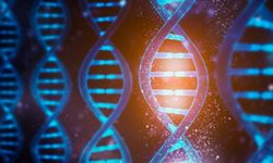 Protein Üretmeyen DNA Bölgeleri Neden "Çöp DNA" Olarak Adlandırılır?