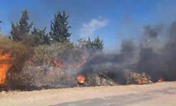 Hatay'da Otluk Alanda Çıkan Yangın Kontrol Altına Alındı