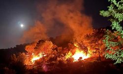 Hatay'da Orman Yangını!