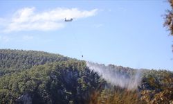 Muğla'daki Orman Yangınına Havadan ve Karadan Müdahale