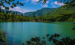 81 İl 81 Yöresel Lezzet: Artvin