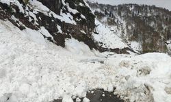 Artvin Borçka’da Çığ Düştü, 6 Köy Yolu Kapandı