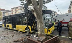 İstanbul’da İETT Otobüsü Ağaca Çarptı: 7 Kişi Yaralandı!