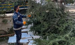 Kahramankazan'da Sonbahar Temizliği Hızla Devam Ediyor