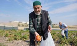 Keçiören Gönül Köşkü Huzurevi Sakinleri Bostan Hasadında