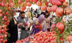 Halepçe'de Nar Festivali Başladı