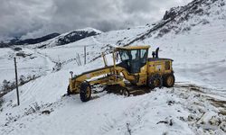 Trabzon'un Yüksek Kesimlerinde Kar Etkili Oluyor