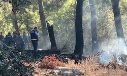 Alanya’da Hava Aracı Düştü, Orman Yangını Çıktı