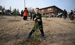 Altındağ’da Ağaç Dikme Seferberliği