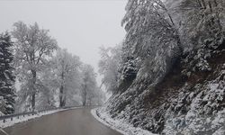 Yedigöller Yolu Ulaşıma Kapandı