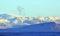 Kars Sarıkamış’ta Sezonun İlk Kar Yağışı Başladı