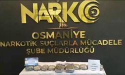 Osmaniye’de Tırda Gizlenmiş 6 Kilo Skunk, ‘Pars’ ile Bulundu