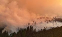 California’da Can Pazarı! Binlerce Kişi Tahliye Ediliyor