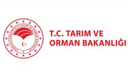 Yemek Hizmeti Alınacaktır Ankara İl Tarım ve Orman Müdürlüğü Tarım ve Orman Bakanlığı Bakan Yardımcılıkları