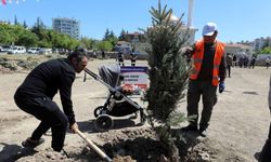 Yenimahalle’de Ağaç Dikme Töreni Düzenlenecek