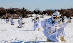 PKK’ya Ağır Darbe! 709 Sığınak İmha Edildi