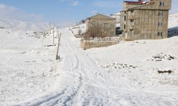 Hakkari’de Karla Mücadele: 51 Yerleşim Yeri Ulaşıma Kapandı