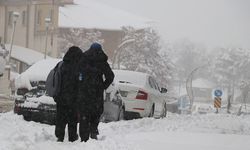 Hakkari'de Kar Yağışı Kentte Zorlu Bir Güne Neden Oldu