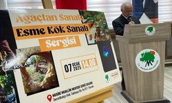 ‘Ağaçtan Sanata: Esme Kök Sanatı’ Sergisi Mamak’ta Açıldı