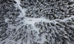 Ilgaz Dağı, Doğa Tutkunlarının Yeni Rotası Oldu