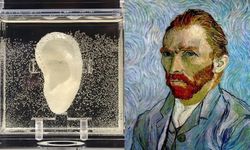 Van Gogh Neden Kulağını Kesti? Olayın Arkasındaki Gerçekler