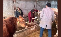 Çamlıdere’de Hayvancılığa Destek: Veterinerlik Hizmeti Başladı!