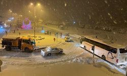 Karadeniz Sahil Yolu'nda Feci Kaza! Yol Ulaşıma Kapandı