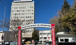 Ankara Hacı Bayram Veli Üniversitesi Öğretim Elemanı Alacak: Son Gün 9 Kasım