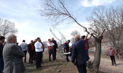 Beypazarı'nda Antep Fıstığı Üretimi İçin Ağaçlar Aşılanacak